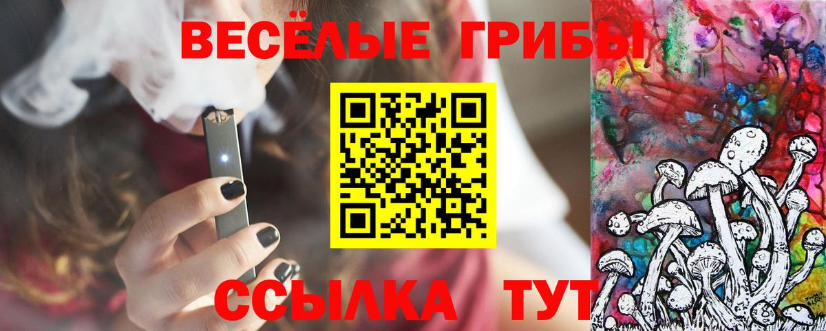 Новодвинск  Галлюциногенные грибы мухоморы  Вход с VPN 